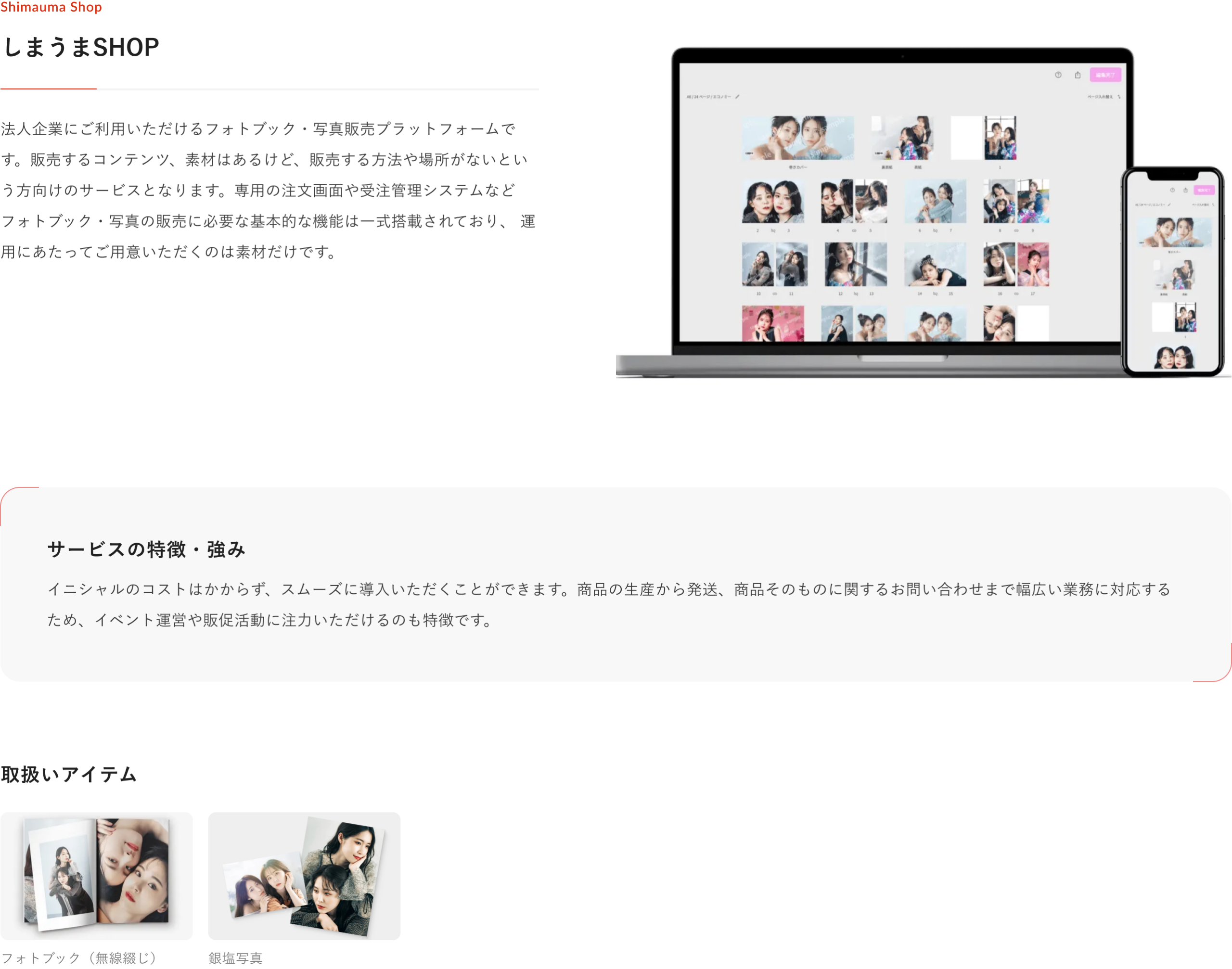 システム・API・DXソリューション